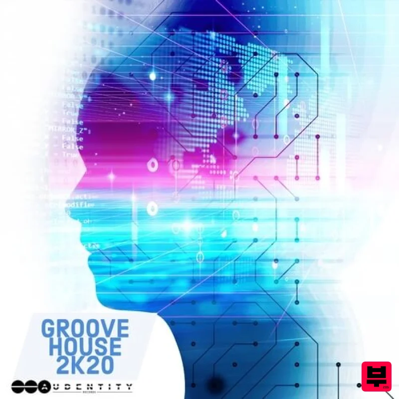 Audentity Records Groove House 2K20 - Professional Music Instrument Photo
