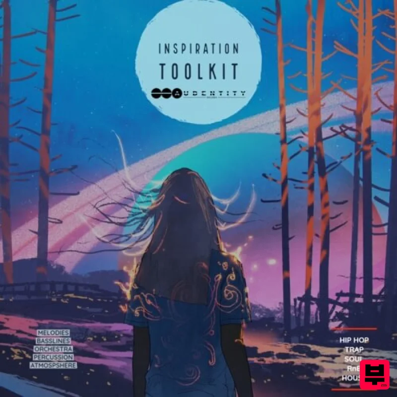 Audentity Records Inspiration Toolkit - Professional Music Instrument Photo