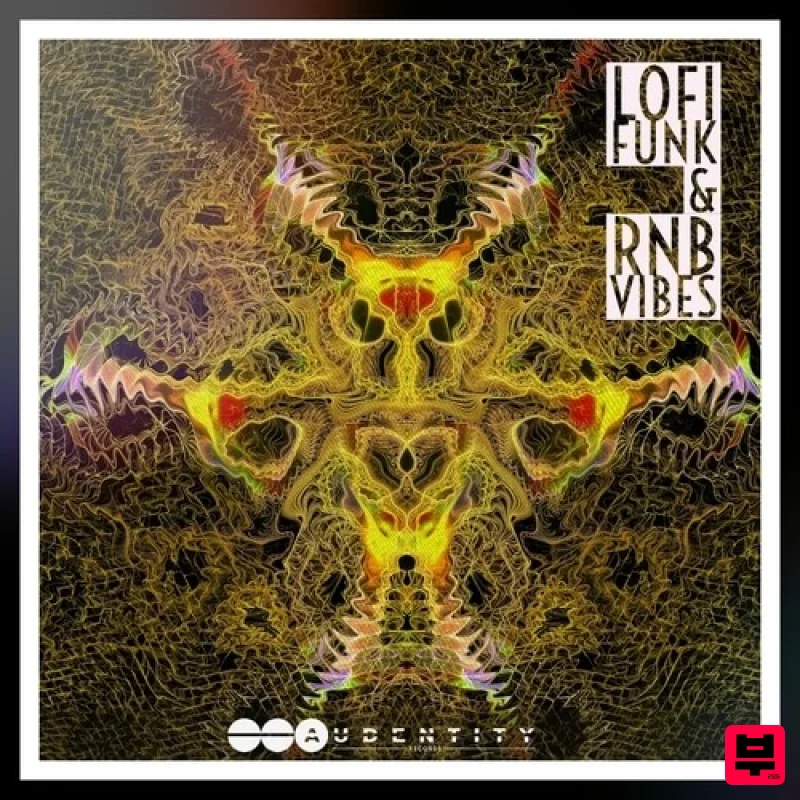 Audentity Records Lofi Funk X R&B Vibes - Professional Music Instrument Photo