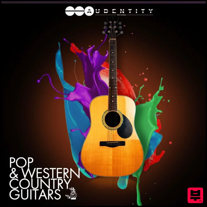 Audentity Records Pop & Western Country Guitars - Pop