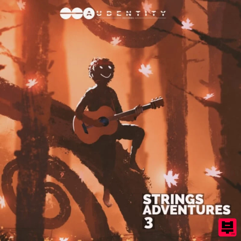 Audentity Records Strings Adventures 3 - Professional Music Instrument Photo