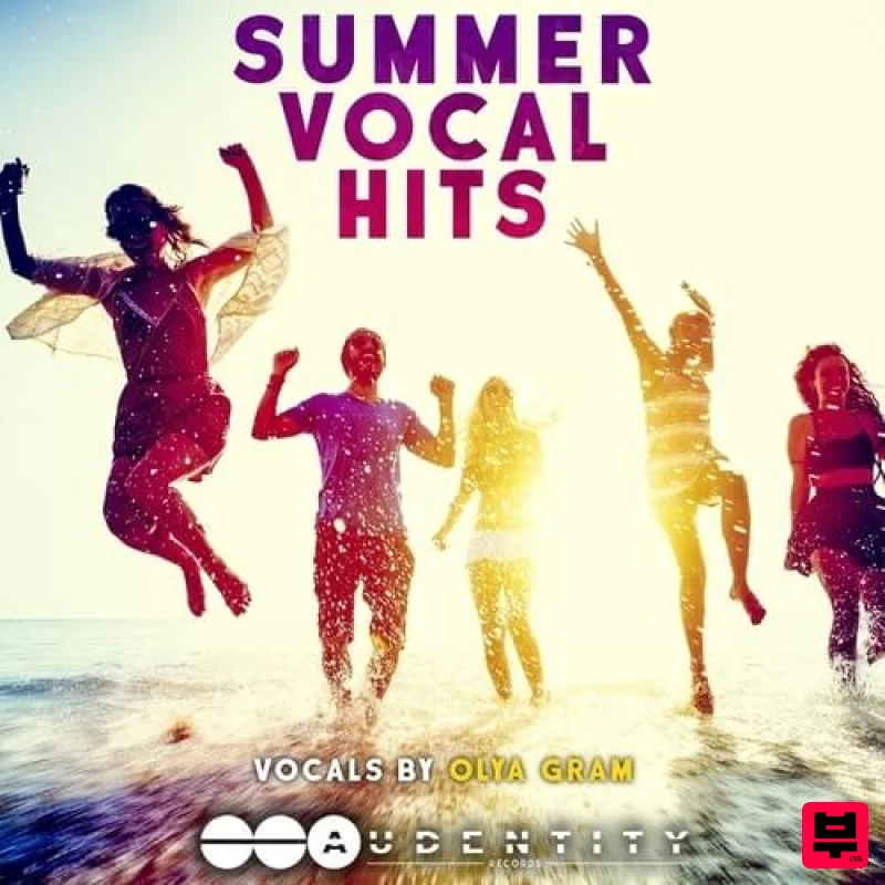 Audentity Records Summer Vocal Hits - Professional Music Instrument Photo