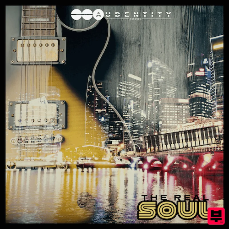 Audentity Records The Real Soul - Professional Music Instrument Photo