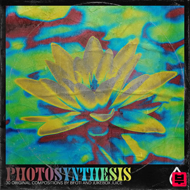 Audio Juice Photosynthesis - R&B