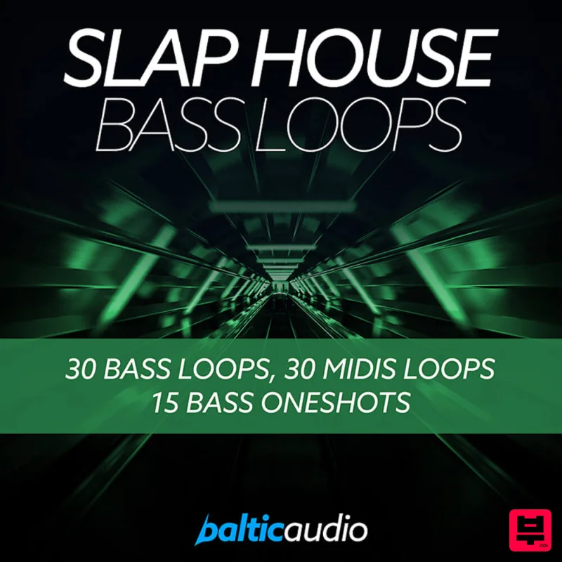 Baltic Audio Slap House Bass Loops - EDM