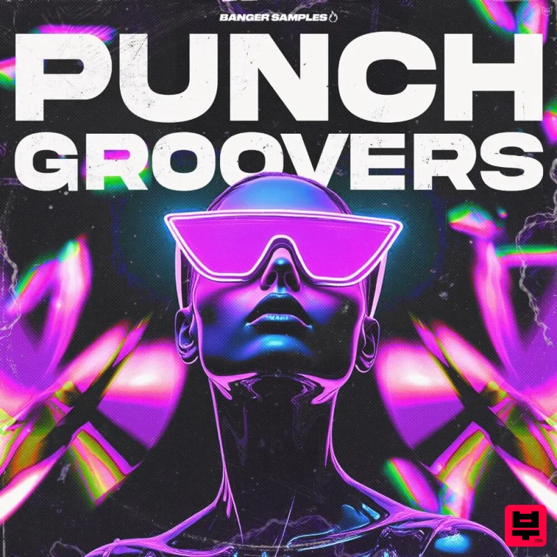 Banger Samples Punch Groovers - Acid House