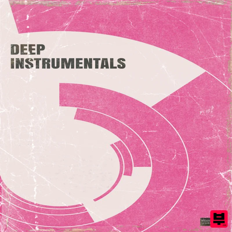 BFractal Music Deep Instrumentals - Lo-Fi Hip-Hop - Professional Music Instrument Photo