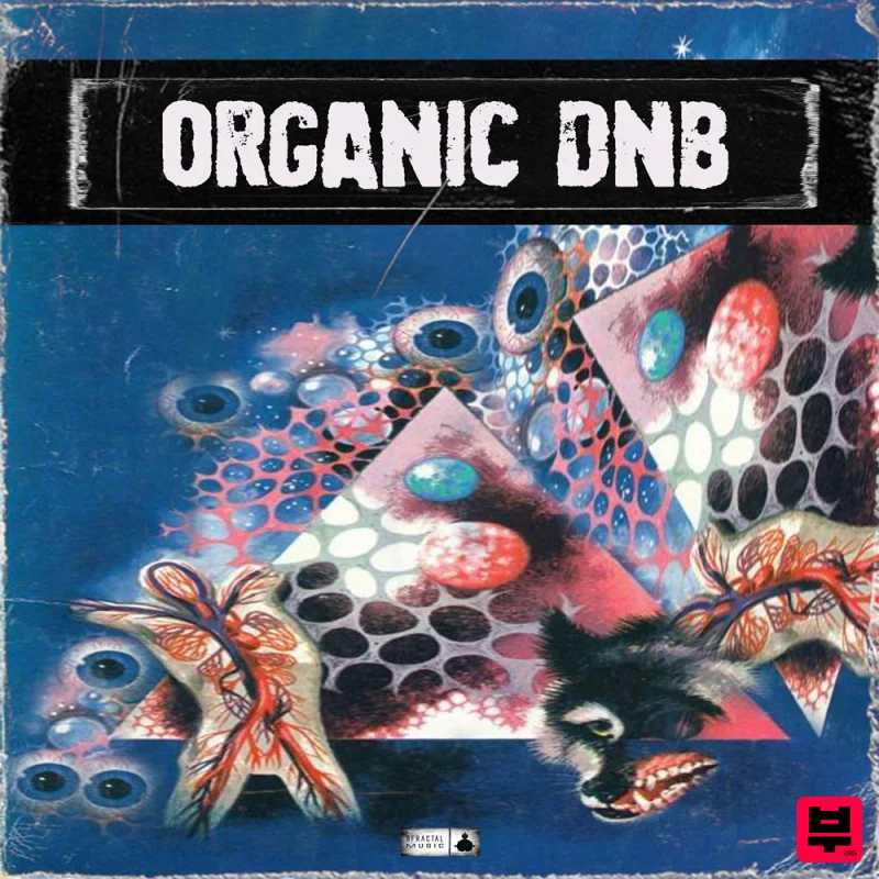 BFractal Music Organic DnB - Drum and Bass