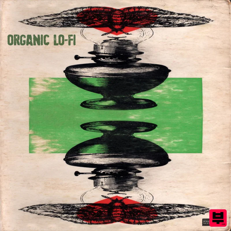 BFractal Music Organic Lo-Fi - Lo-Fi Hip Hop