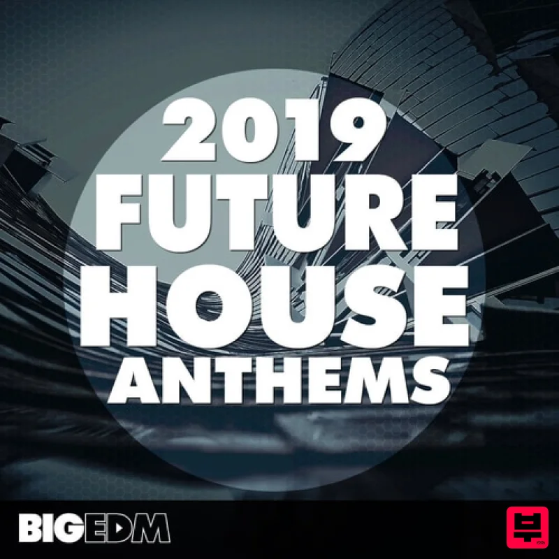 Big EDM 2019 Future House Anthems - Future House
