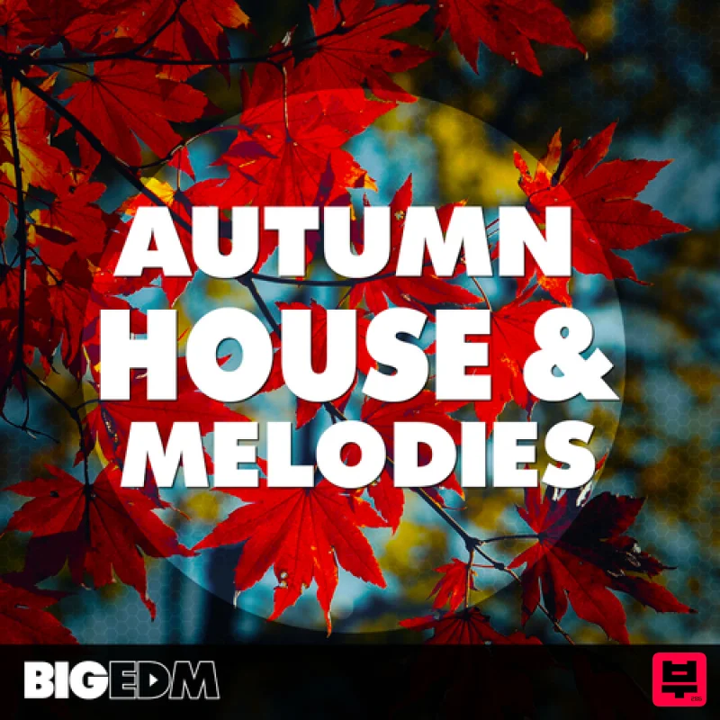 Big EDM Autumn House & Melodies - House