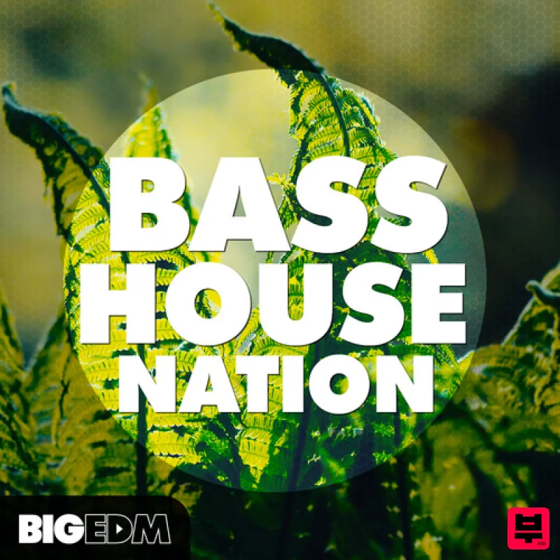 Big EDM BASS House Nation - Professional Music Instrument Photo