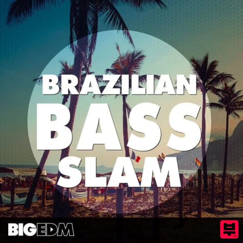 Big EDM Brazilian Bass Slam - Professional Music Instrument Photo