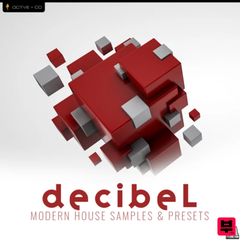 Big EDM Decibel Modern House by OCTVE.CO - Professional Music Instrument Photo