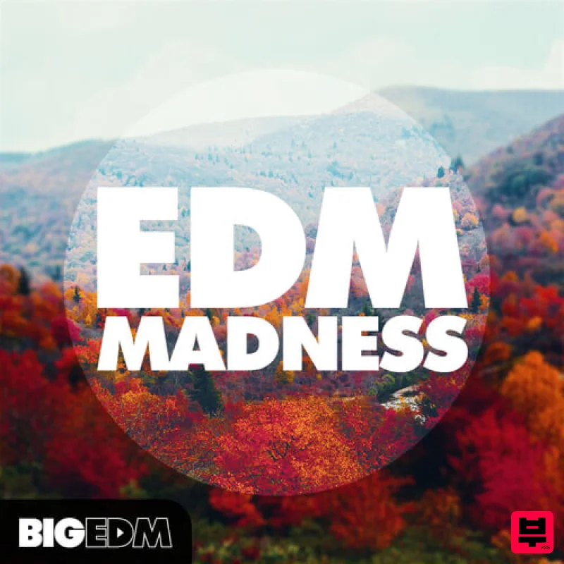 Big EDM EDM Madness - EDM