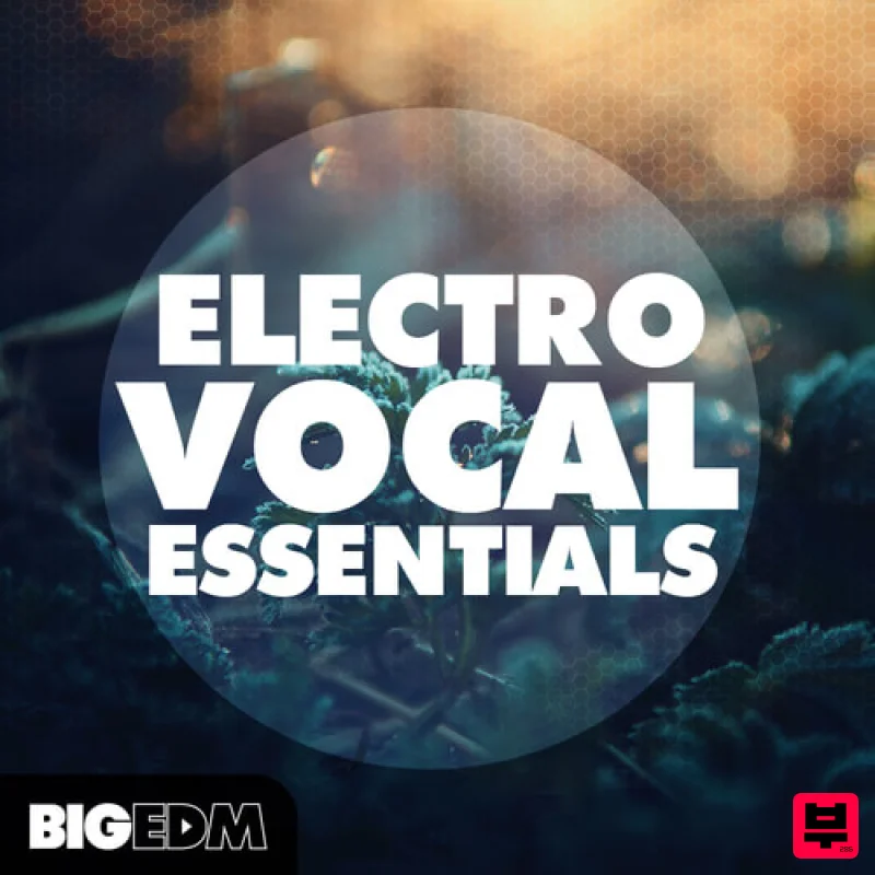 Big EDM Electro Vocal Essentials - Electro