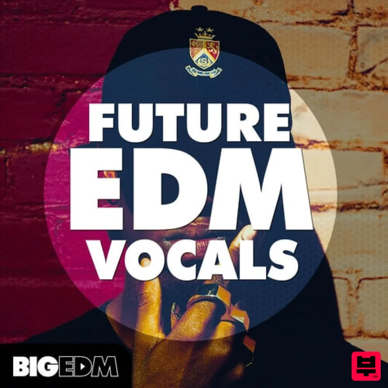 Big EDM Future EDM Vocals - EDM