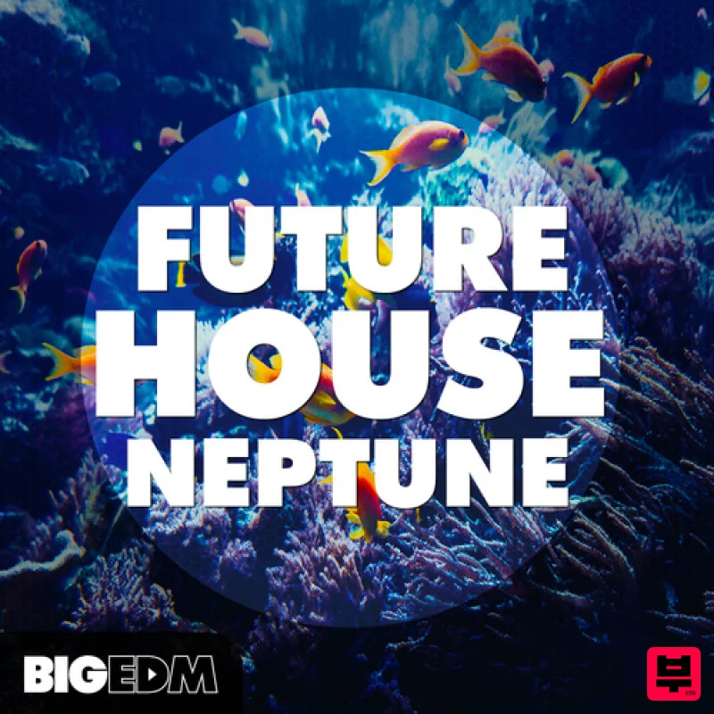 Big EDM Future House NEPTUNE - Future Bounce