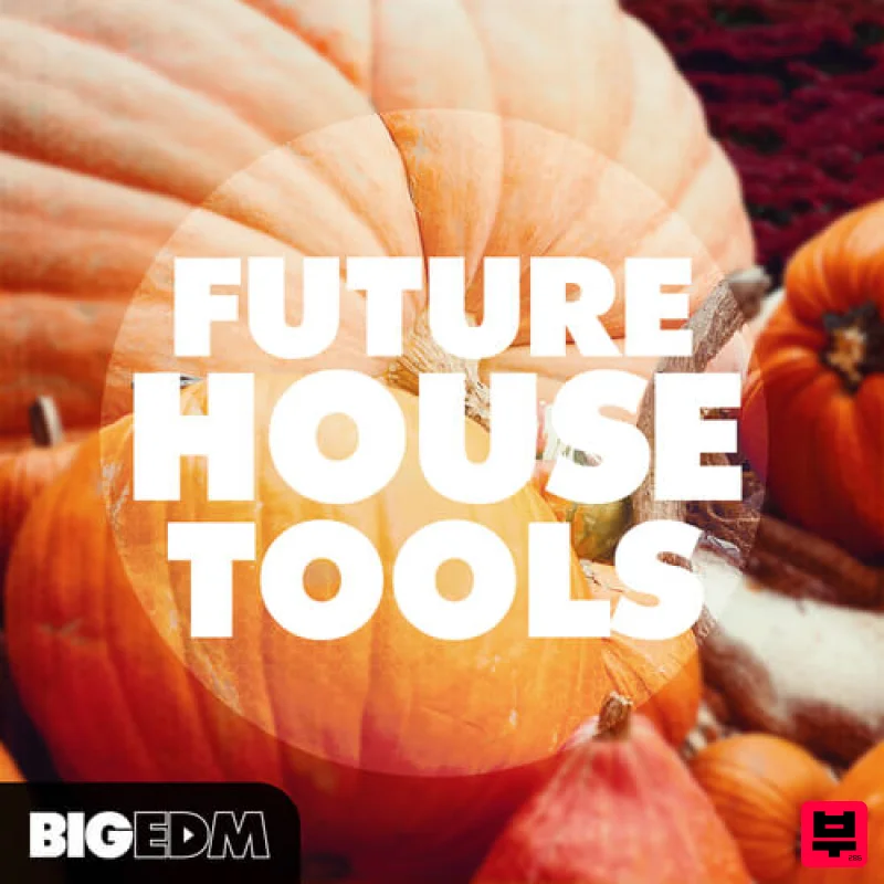 Big EDM Future House Tools - Future House
