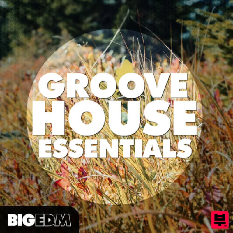 Big EDM Groove House Essentials - House