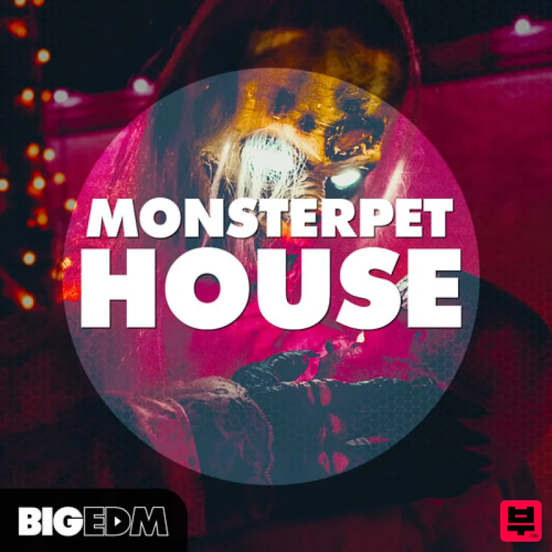 Big EDM Monsterpet House - Professional Music Instrument Photo