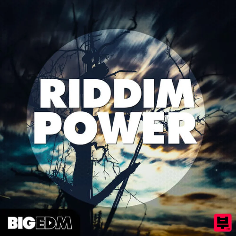 Big EDM Riddim Power - Riddim
