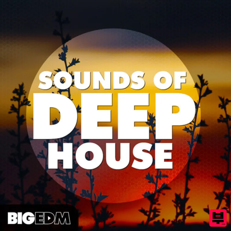 Big EDM Sounds Of Deep House - Deep House