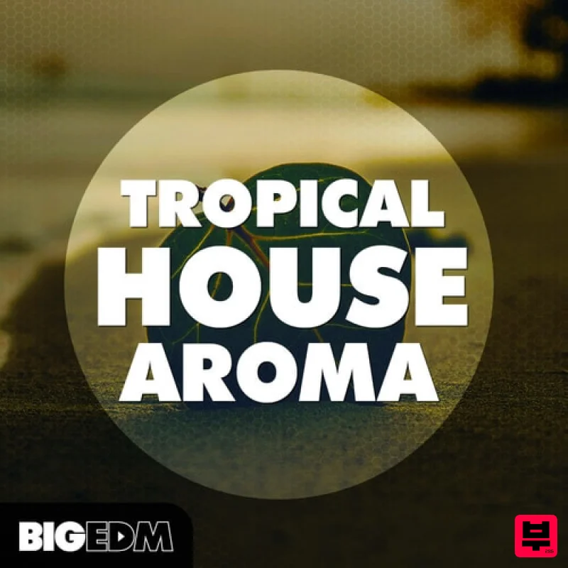 Big EDM Tropical House Aroma - Tropical House