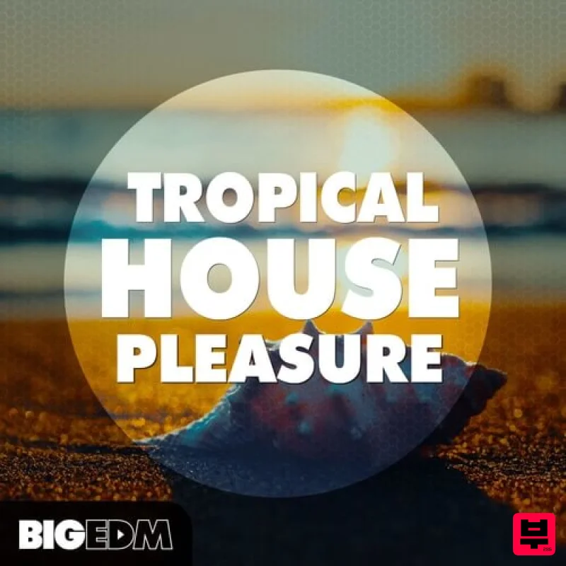 Big EDM Tropical House Pleasure - Tropical House
