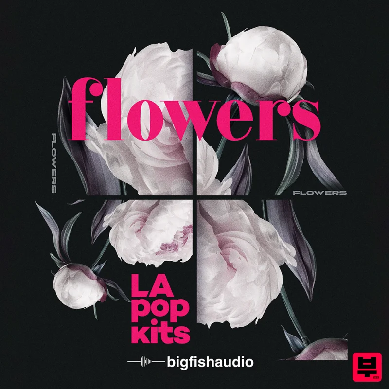 Big Fish Audio Flowers: LA Pop Kits - Pop