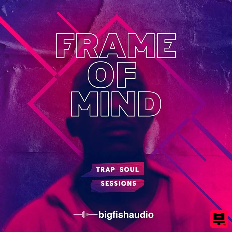 Big Fish Audio Frame of Mind - Trap Soul Sessions - Trap