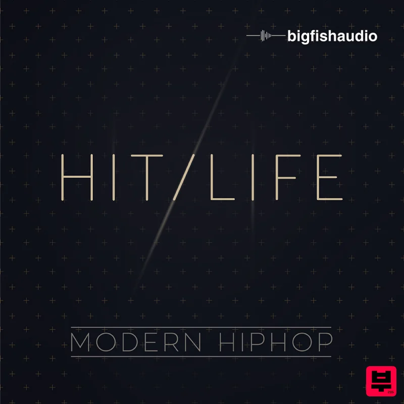 Big Fish Audio Hit Life - Modern Hip Hop - Hip Hop