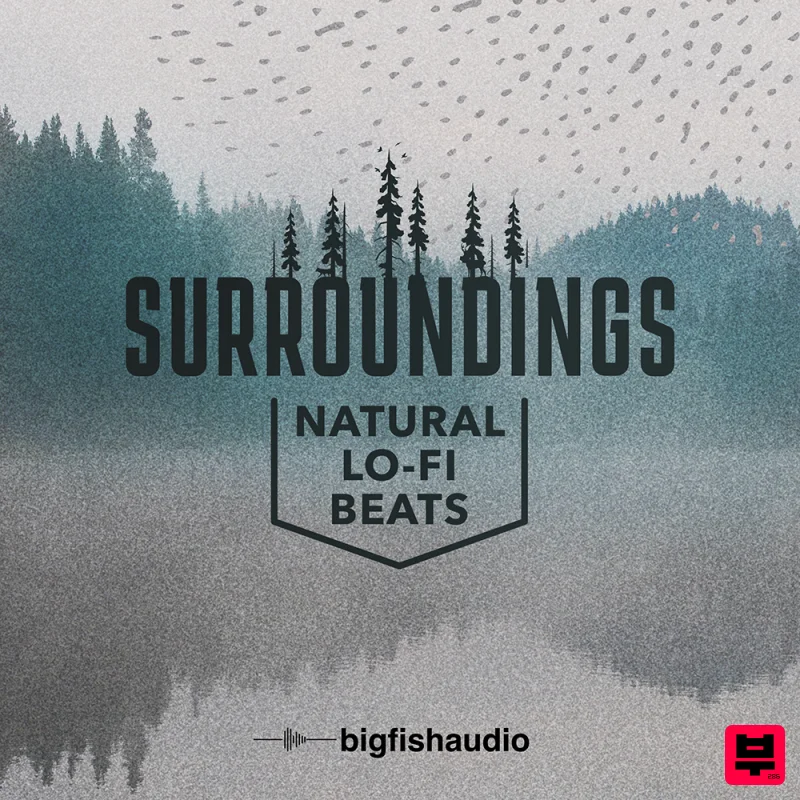 Big Fish Audio Surroundings: Natural Lo-Fi Beats - Professional Music Instrument Photo