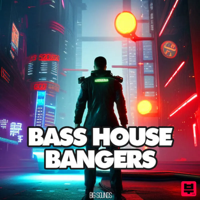 Big Sounds Bass House Bangers - Bass House