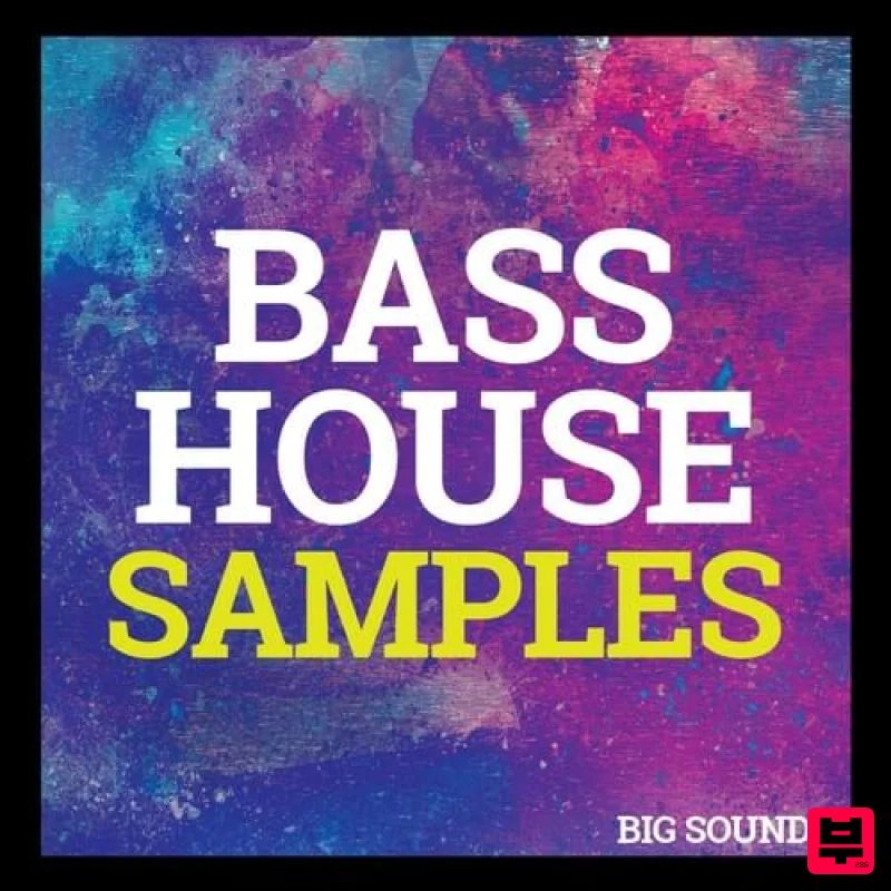 Big Sounds Bass House Samples - Bass House