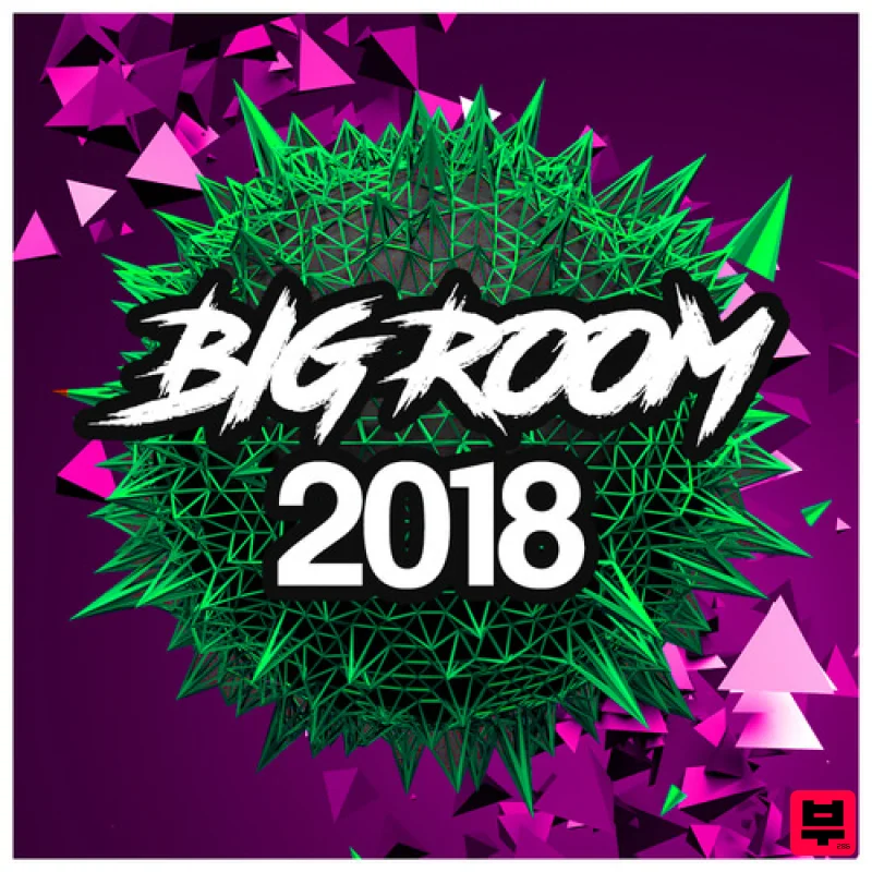 Big Sounds Big Room 2018 - Professional Music Instrument Photo