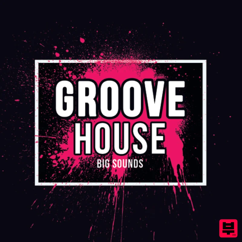 Big Sounds Groove House - Professional Music Instrument Photo