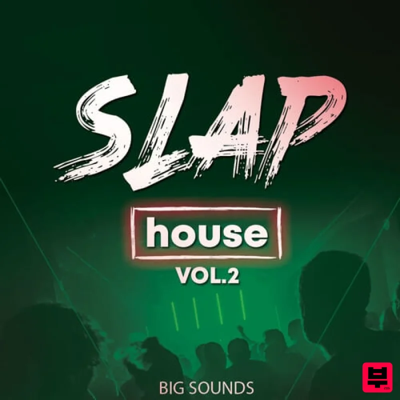 Big Sounds Slap House Vol.2 - Future House
