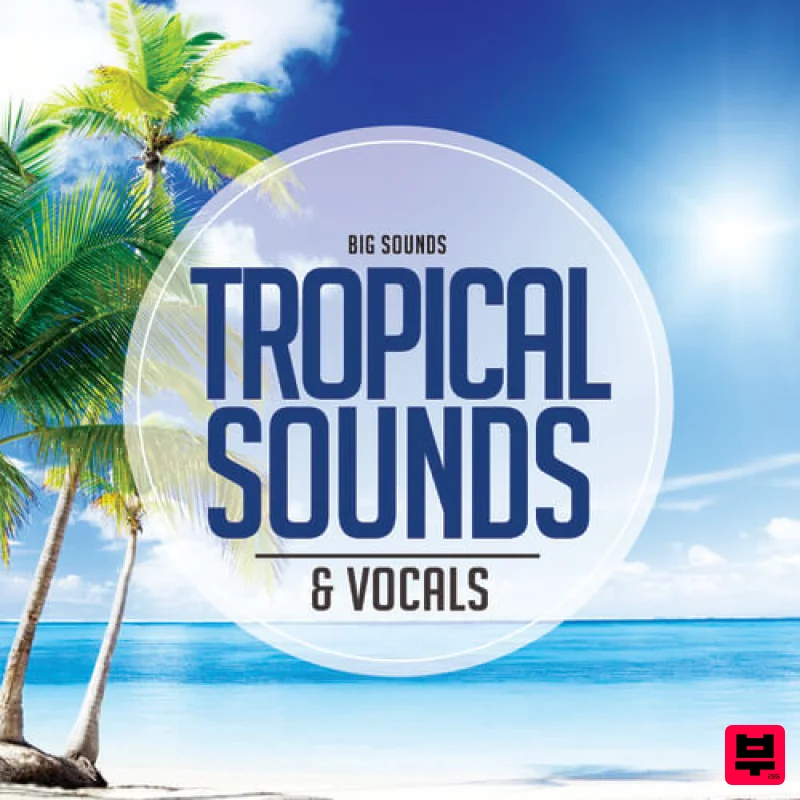 Big Sounds Tropical Sounds & Vocals - Tropical House