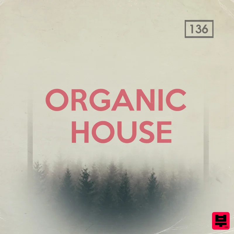 Bingoshakerz Bingoshakerz – Organic House - Professional Music Instrument Photo