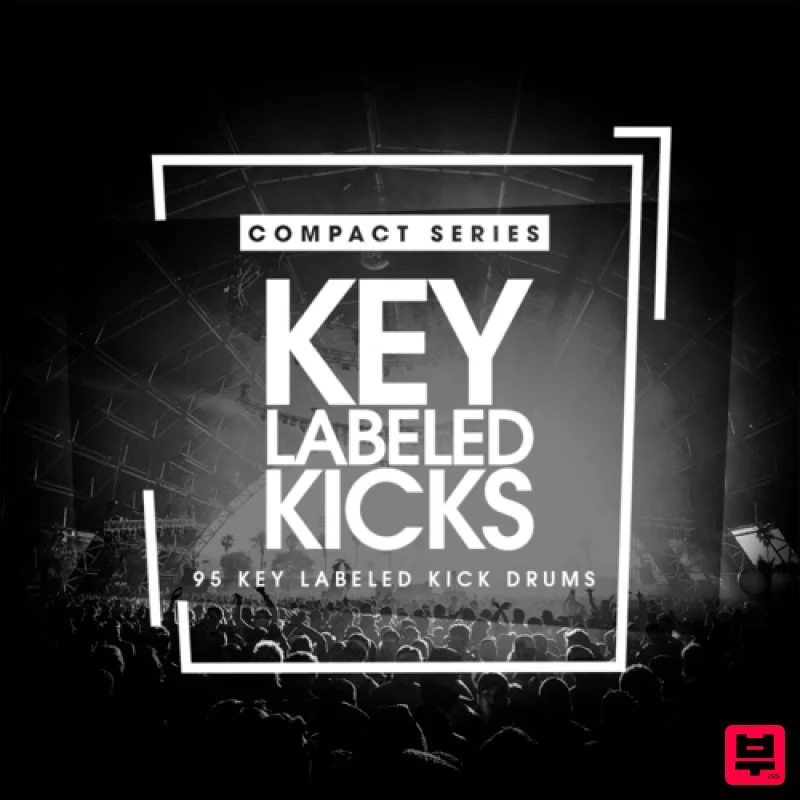 Bingoshakerz Compact Series: Key Labeled Kicks - Professional Music Instrument Photo