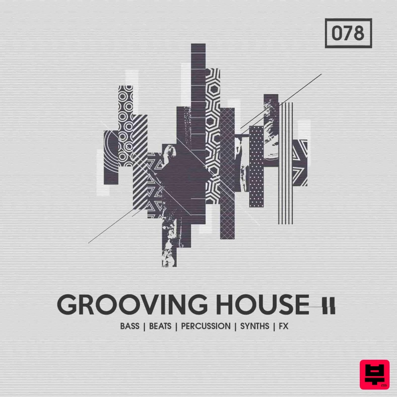 Bingoshakerz Grooving House 2 - Professional Music Instrument Photo
