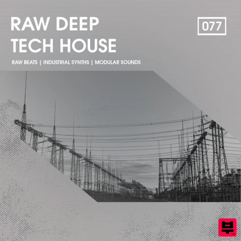 Bingoshakerz Raw Deep Tech House - Tech House