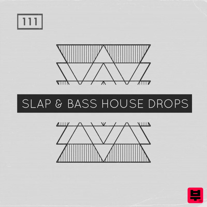 Bingoshakerz Slap & Bass House Drops - Bass House