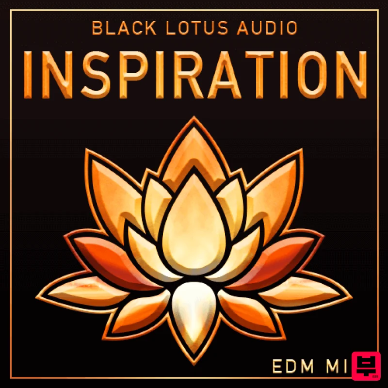 Black Lotus Audio Inspiration EDM MIDI Collection - EDM