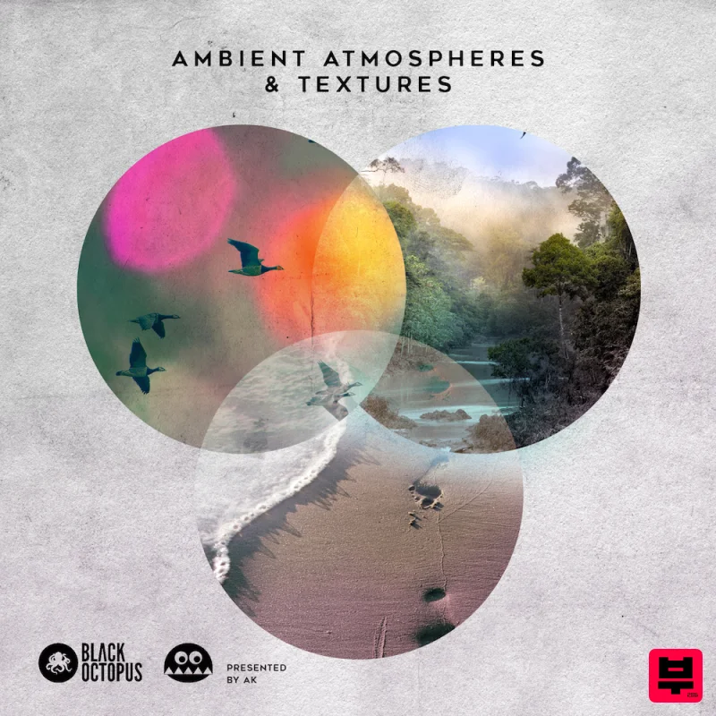 Black Octopus Ambient Atmospheres and Textures By AK - Ambient