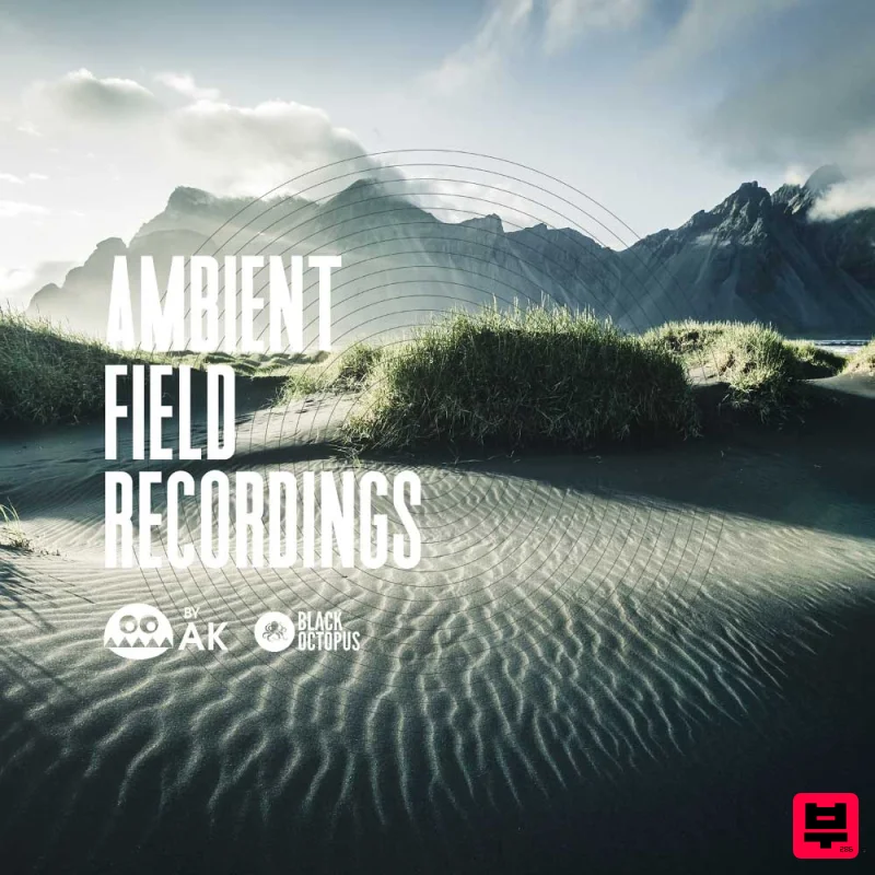 Black Octopus Ambient Field Recordings by AK - Ambient
