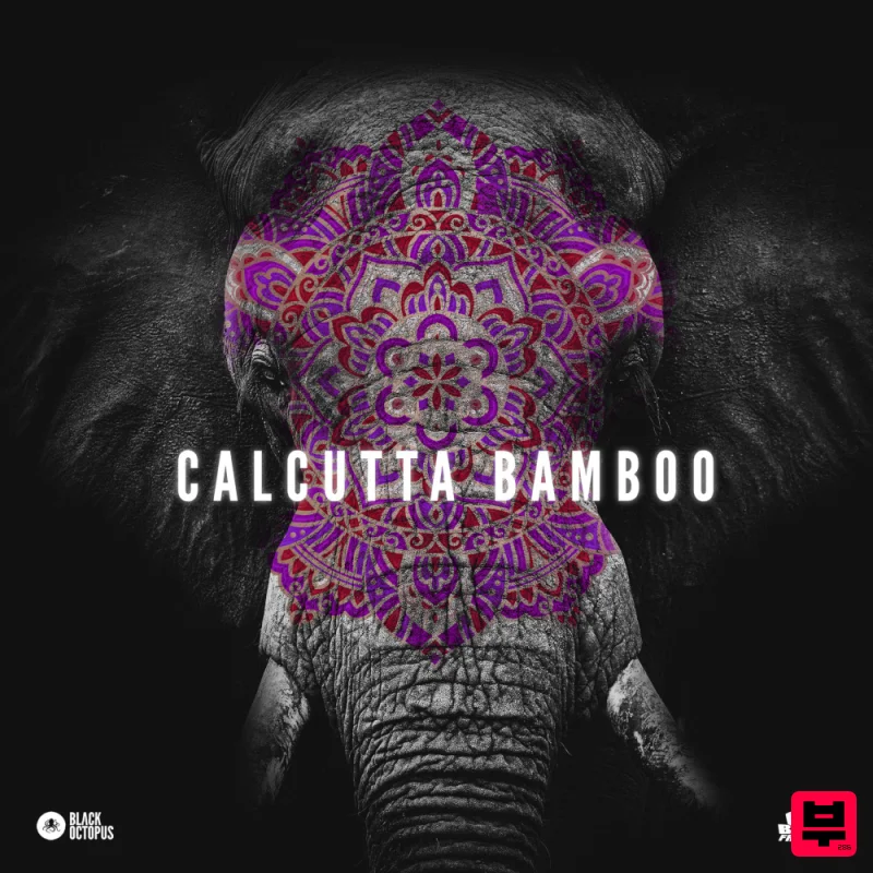 Black Octopus Basement Freaks Presents Calcutta Bamboo - Professional Music Instrument Photo