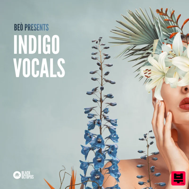 Black Octopus Beò Presents Indigo Vocals - Professional Music Instrument Photo