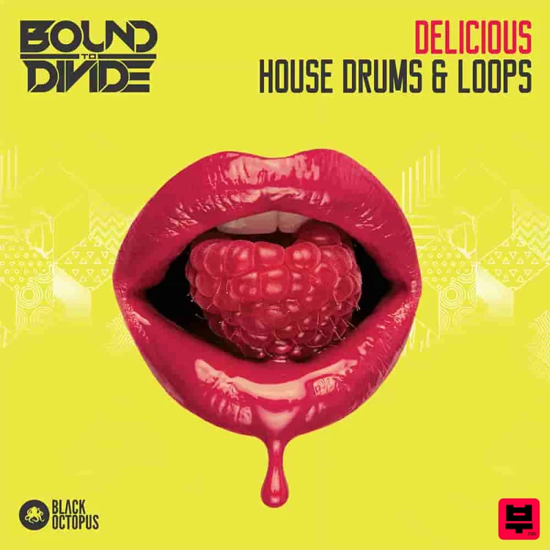 Black Octopus Delicious House Drums & Loops - Professional Music Instrument Photo